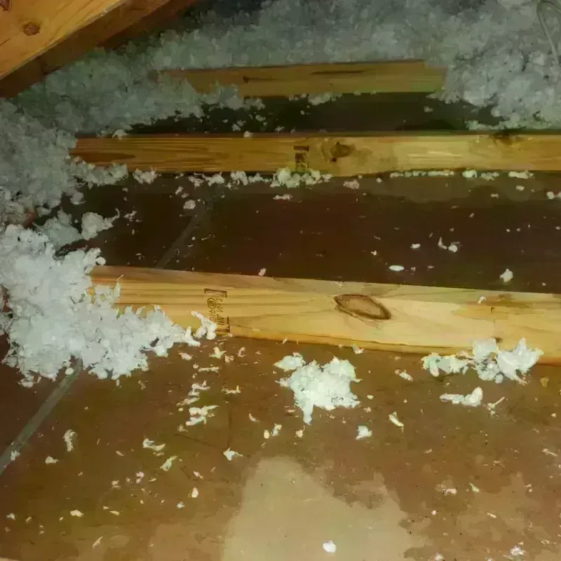 Attic Water Damage in Adairsville, GA