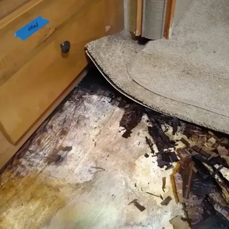 Best Wood Floor Water Damage Service in Adairsville, GA